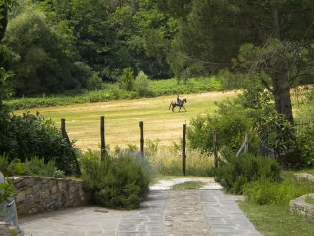 קרמיניאנו La Gufaia - Holiday House With Private Pool Near Florence מראה חיצוני תמונה
